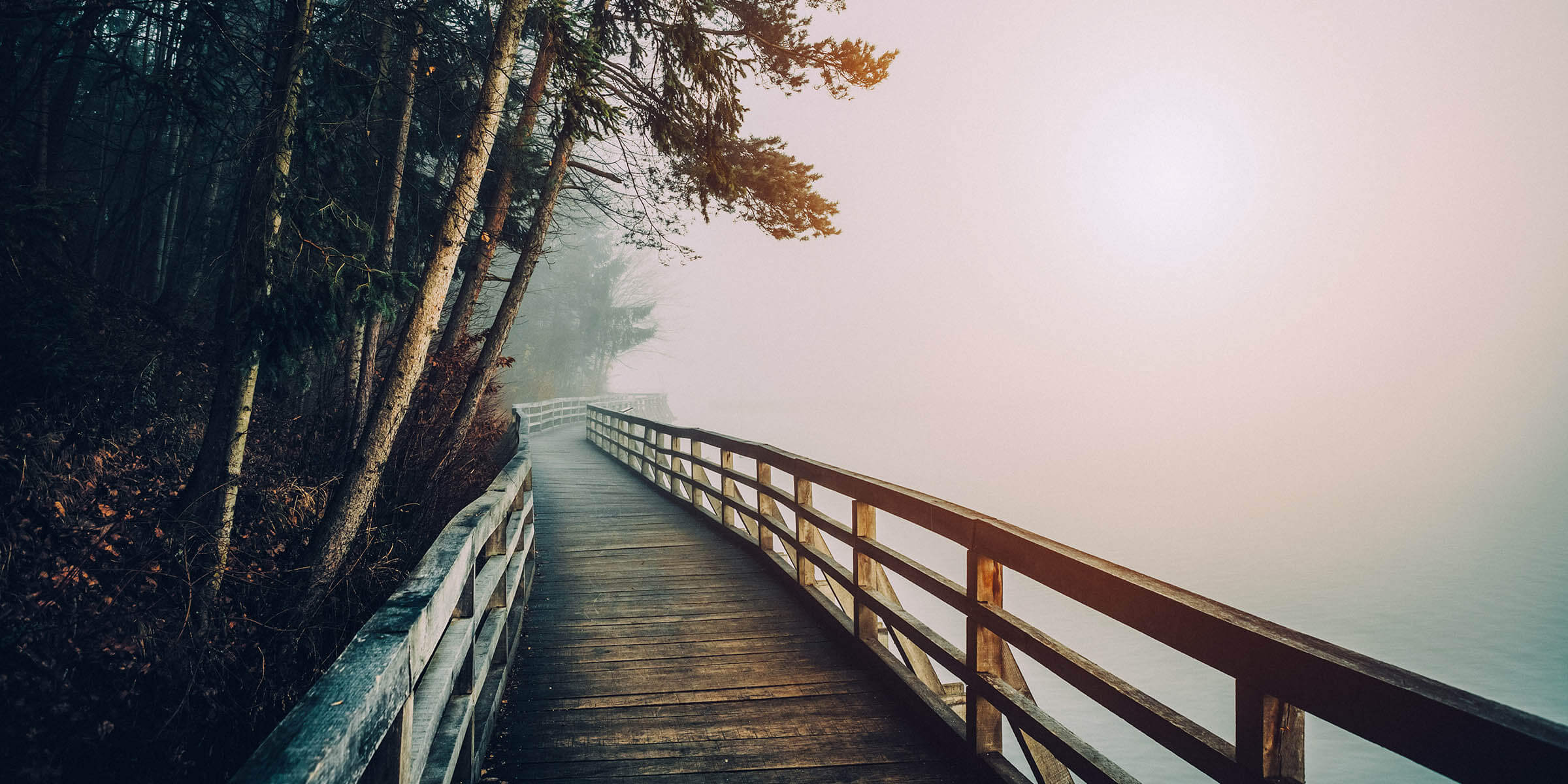 What’s Behind the Trouble and Turmoil?