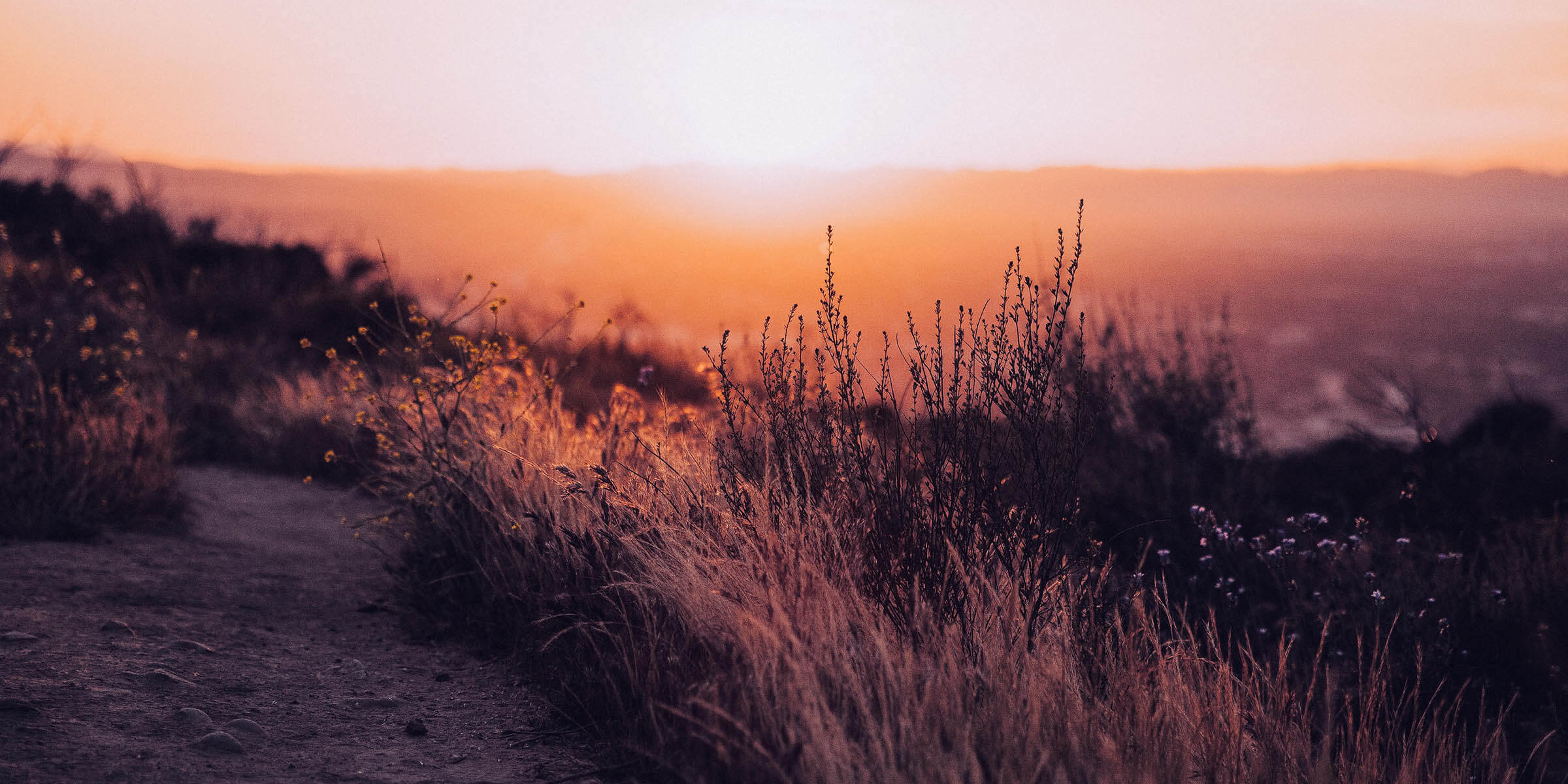 He Sees, He Cares, and He Acts